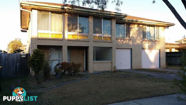 38 Dennistoun Street SUNNYBANK HILLS QLD 4109