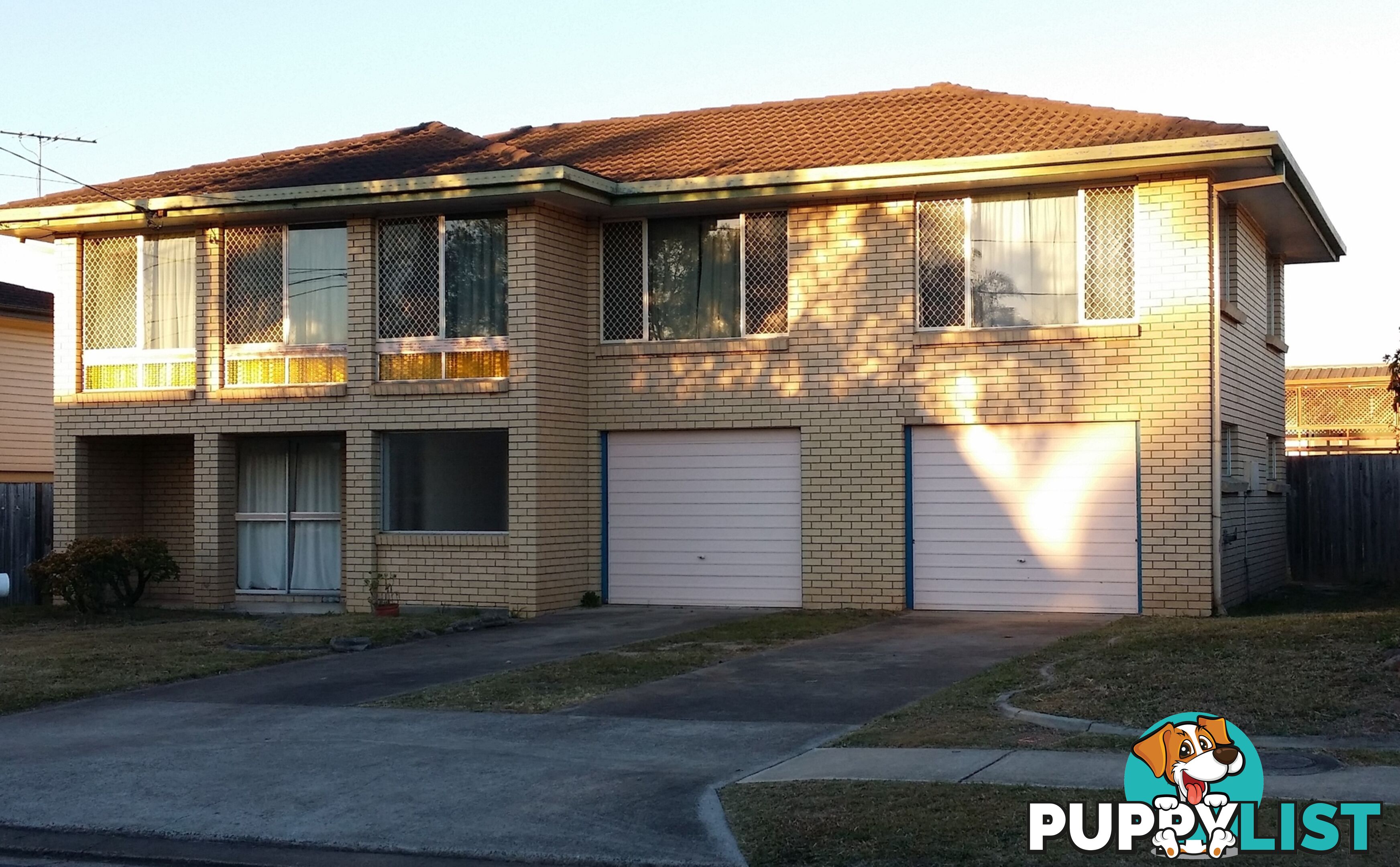 38 Dennistoun Street SUNNYBANK HILLS QLD 4109