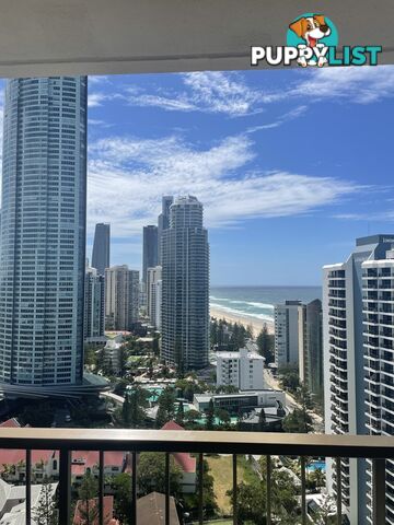 2403 5 Enderley ave SURFERS PARADISE QLD 4217