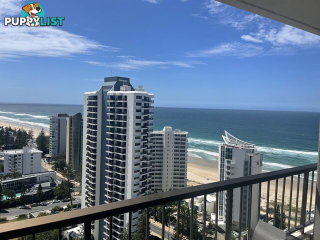 2403 5 Enderley ave SURFERS PARADISE QLD 4217