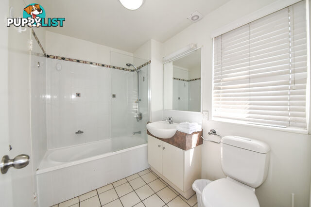 18 Dunmore Terrace Dunmore terrace AUCHENFLOWER QLD 4066