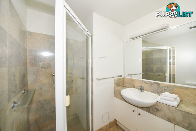 18 Dunmore Terrace Dunmore terrace AUCHENFLOWER QLD 4066