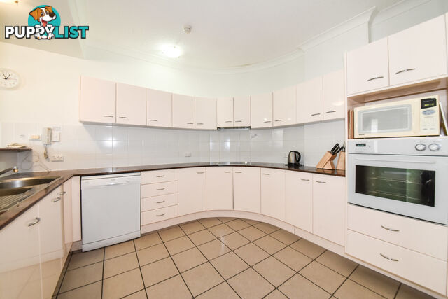 18 Dunmore Terrace Dunmore terrace AUCHENFLOWER QLD 4066