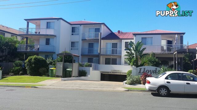 15 12-14 Lloyd Street SOUTHPORT QLD 4215