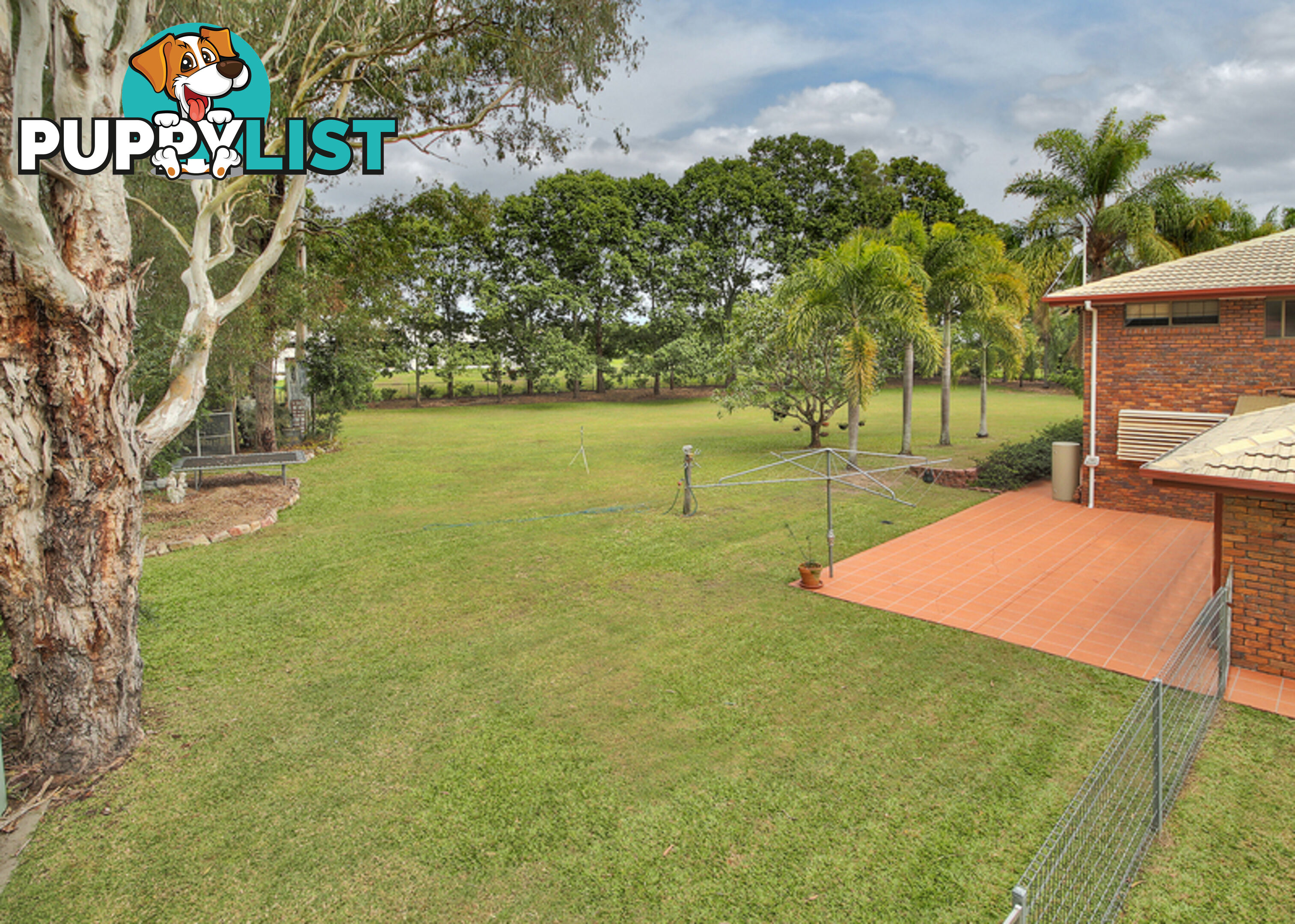 230 Bleasby Road EIGHT MILE PLAINS QLD 4113