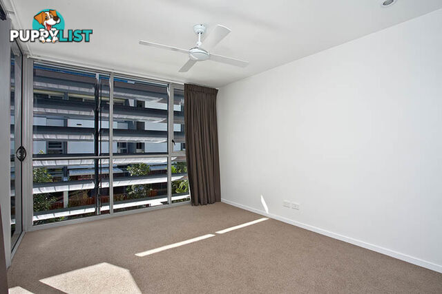 13w 28 Cordelia St SOUTH BRISBANE QLD 4101