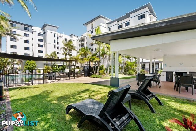 15/Third Floor 917 David Low Way MARCOOLA QLD 4564