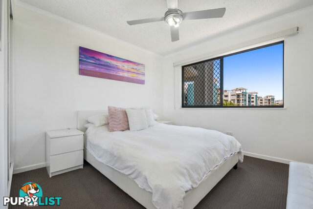 15/Third Floor 917 David Low Way MARCOOLA QLD 4564