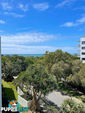 15/Third Floor 917 David Low Way MARCOOLA QLD 4564