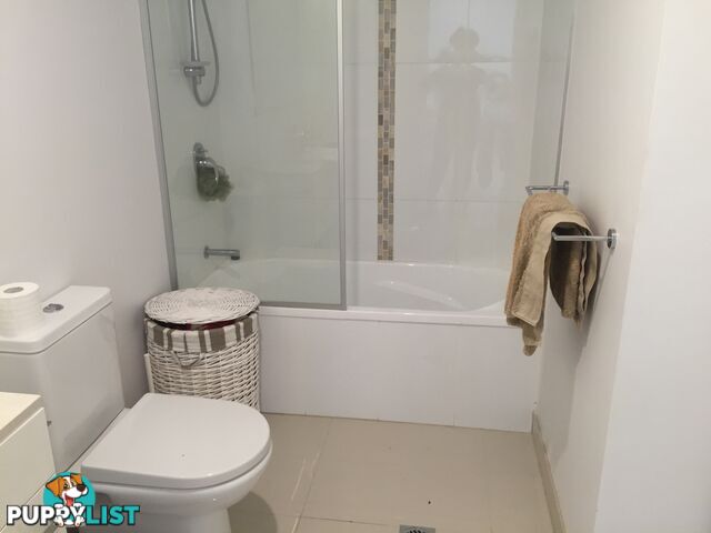 17 Bath LABRADOR QLD 4215