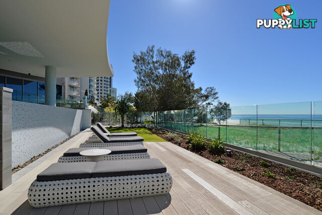 1503 3 Northcliffe Terrace SURFERS PARADISE QLD 4217