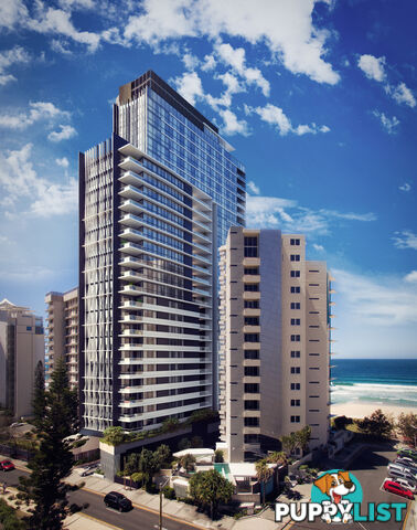 1503 3 Northcliffe Terrace SURFERS PARADISE QLD 4217