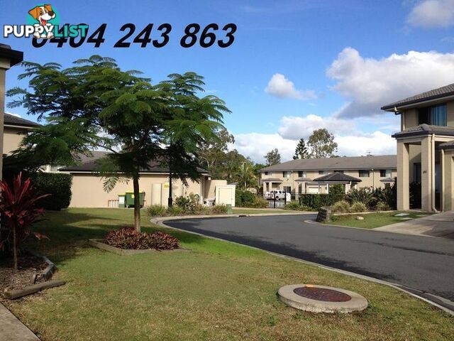 86/116 Station Rd LOGANLEA QLD 4131