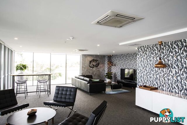 17 BATH STREET LABRADOR LABRADOR QLD 4215