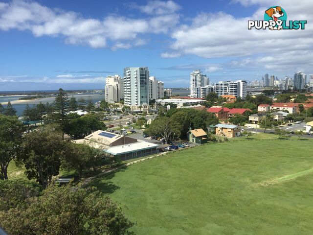 17 BATH STREET LABRADOR LABRADOR QLD 4215