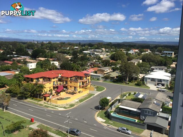 17 BATH STREET LABRADOR LABRADOR QLD 4215