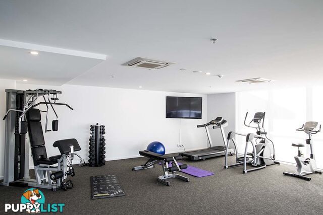 17 BATH STREET LABRADOR LABRADOR QLD 4215