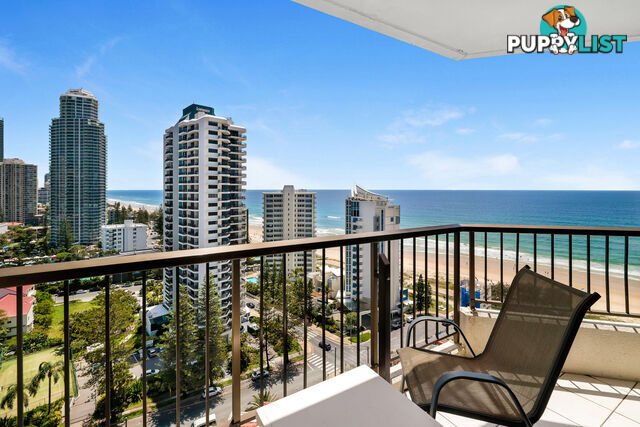 1805 5 Enderley Ave SURFERS PARADISE QLD 4217