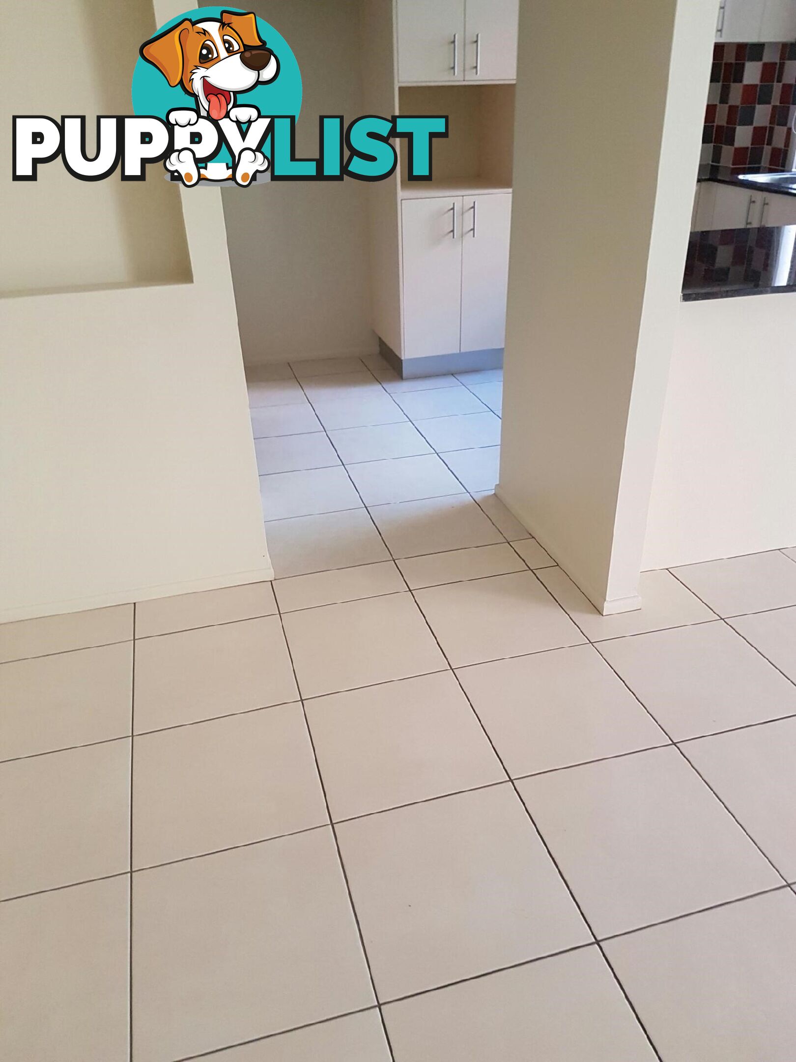 170 Whiting Street LABRADOR QLD 4215