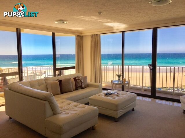 3B 50 Old Burleigh Road SURFERS PARADISE QLD 4217