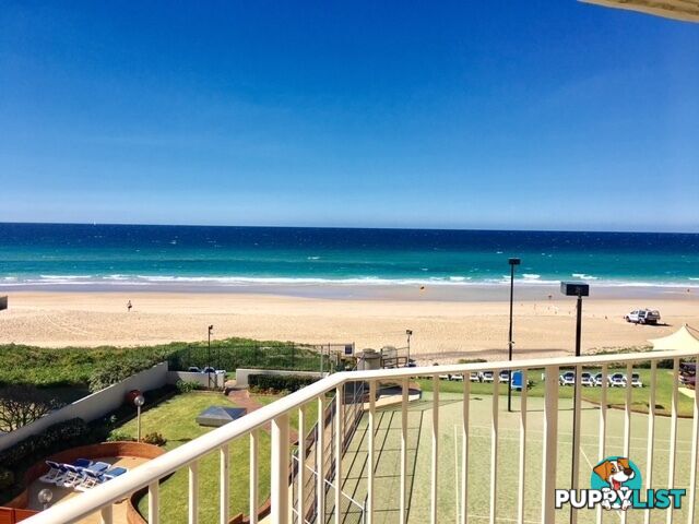 3B 50 Old Burleigh Road SURFERS PARADISE QLD 4217