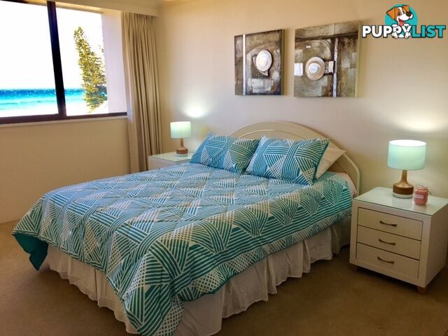 3B 50 Old Burleigh Road SURFERS PARADISE QLD 4217