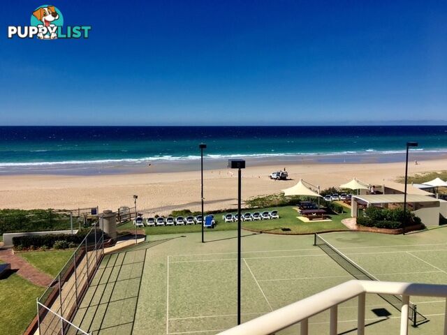 3B 50 Old Burleigh Road SURFERS PARADISE QLD 4217