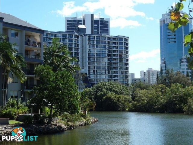 70 Remembrance SURFERS PARADISE QLD 4217