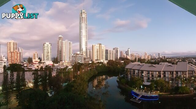 70 Remembrance SURFERS PARADISE QLD 4217