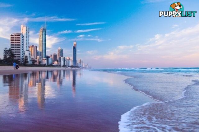 70 Remembrance SURFERS PARADISE QLD 4217