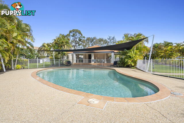 12 19 Harrow Place ARUNDEL QLD 4214