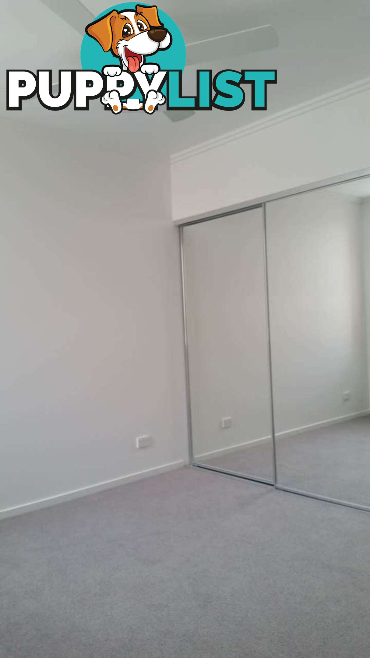 49 Evergreen View ROBINA QLD 4226