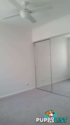 49 Evergreen View ROBINA QLD 4226