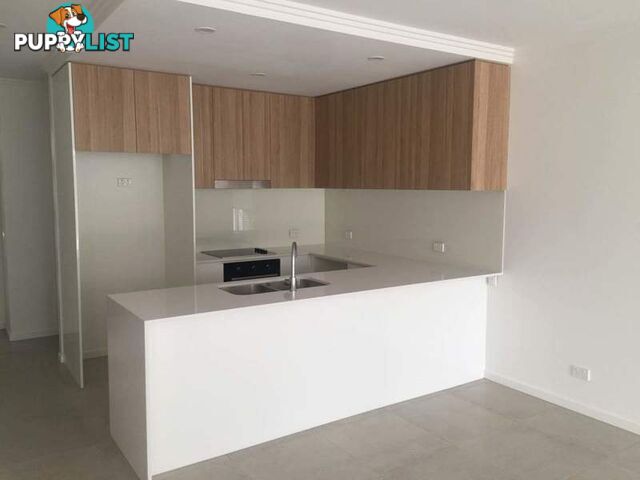 49 Evergreen View ROBINA QLD 4226