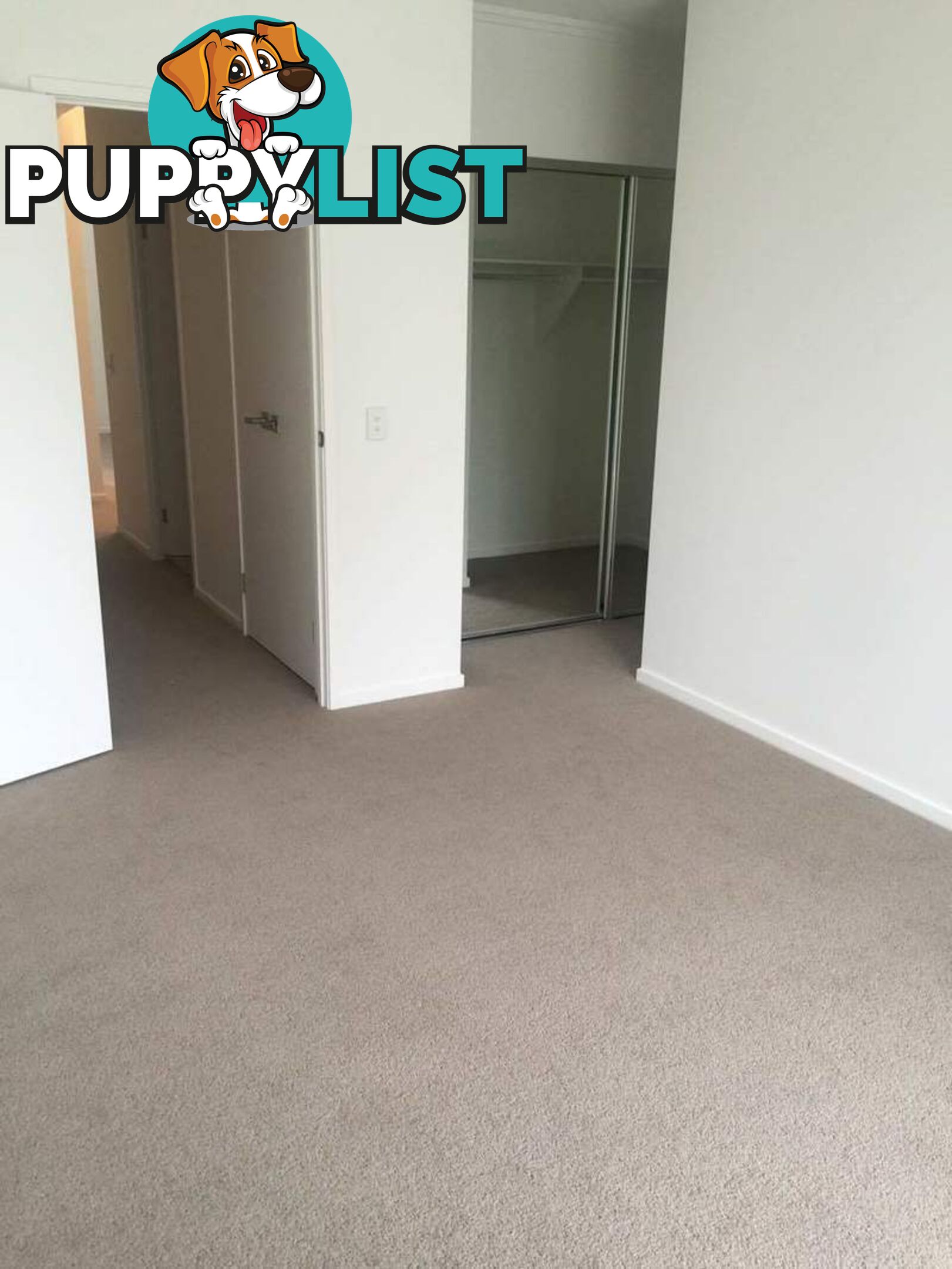 49 Evergreen View ROBINA QLD 4226