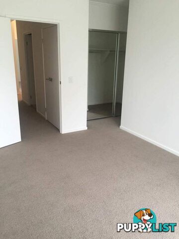 49 Evergreen View ROBINA QLD 4226