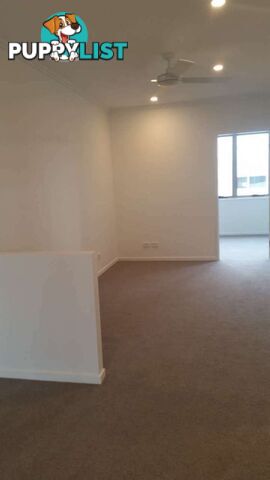 49 Evergreen View ROBINA QLD 4226
