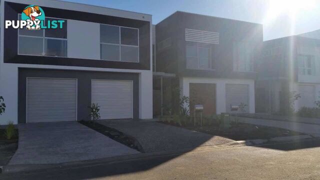 49 Evergreen View ROBINA QLD 4226