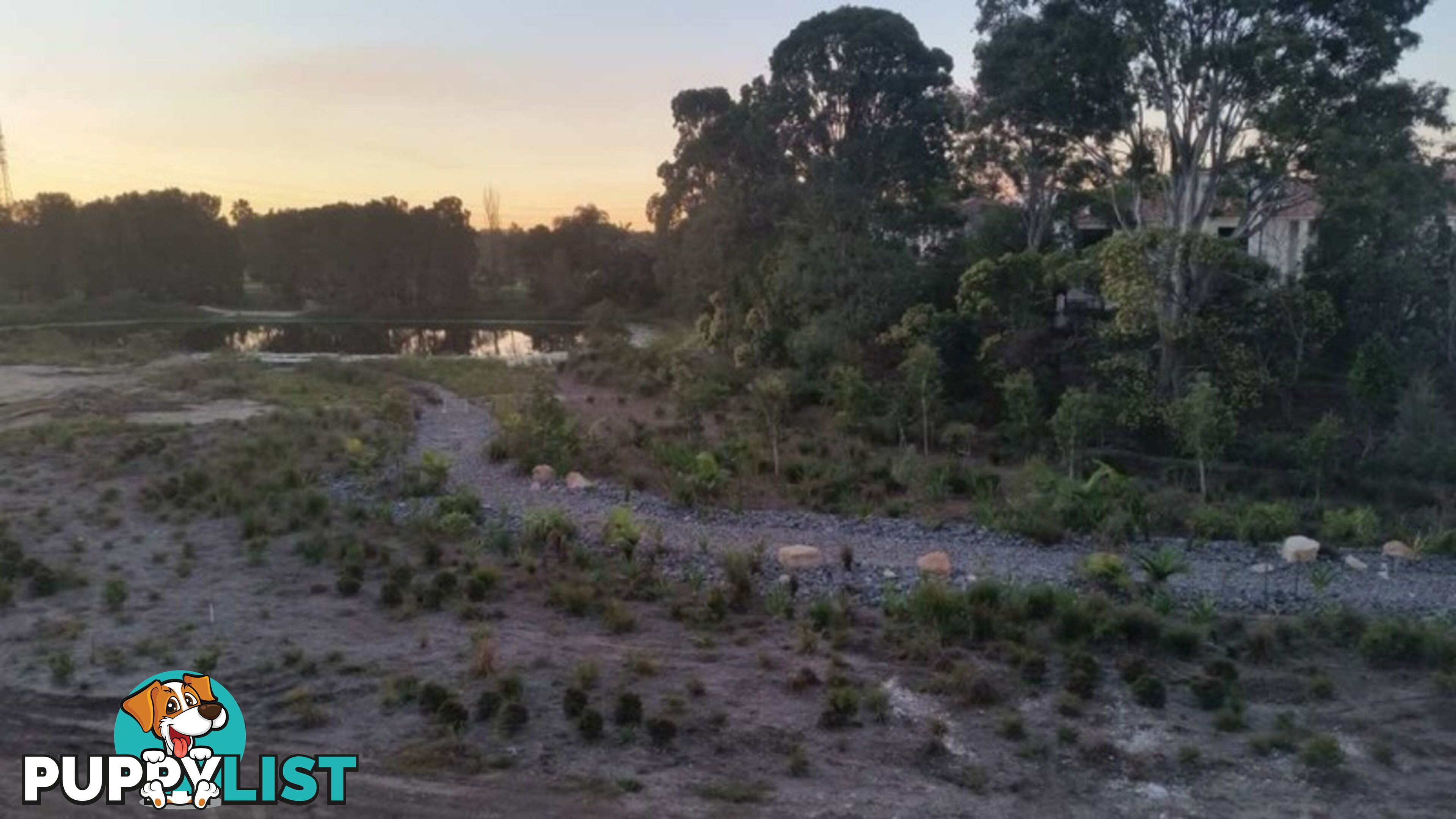 49 Evergreen View ROBINA QLD 4226