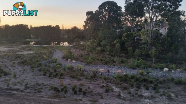 49 Evergreen View ROBINA QLD 4226