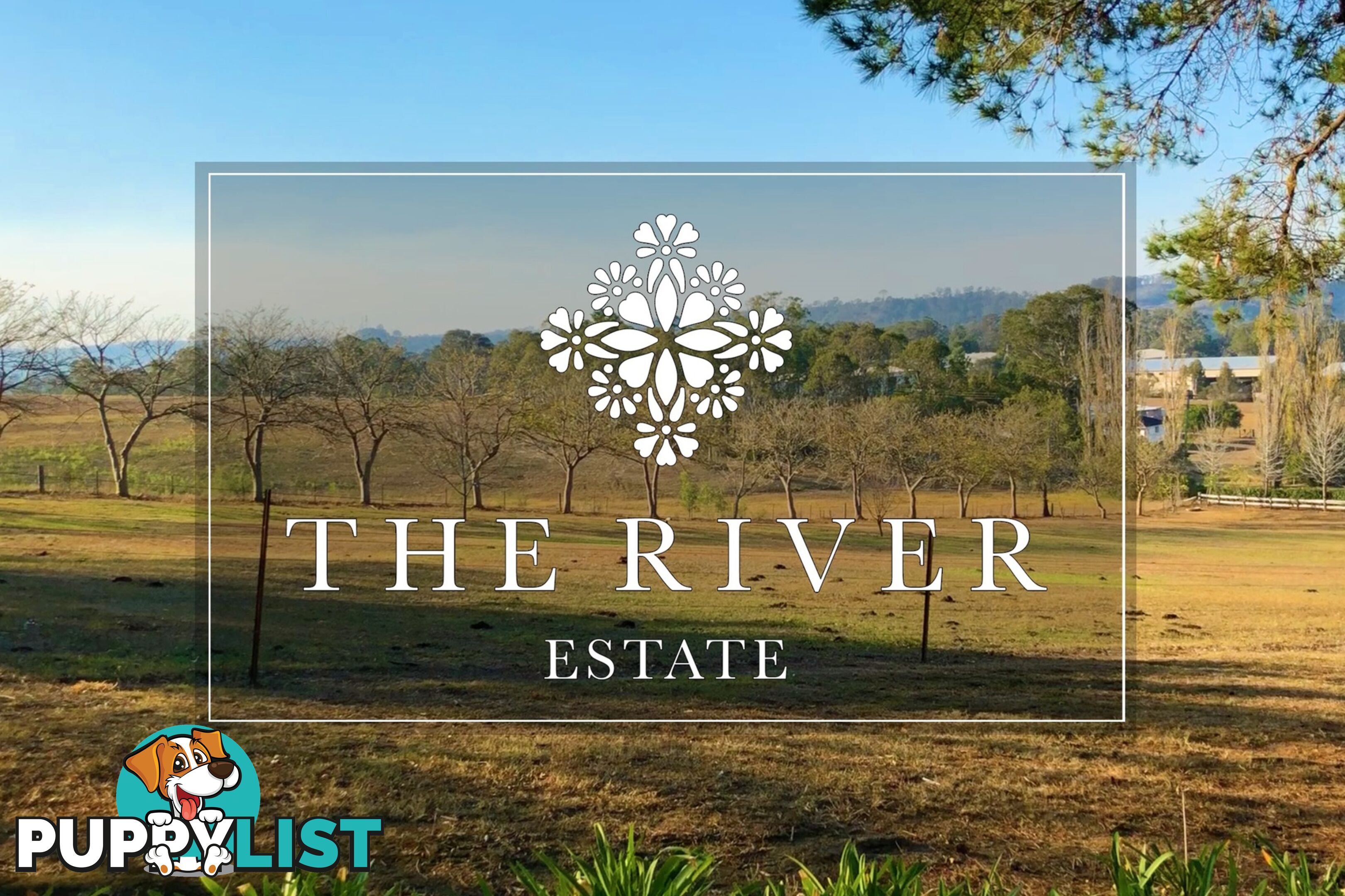 Lot 1/56 River Road Tahmoor NSW 2573