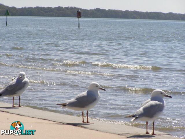 Deception Bay QLD 4508