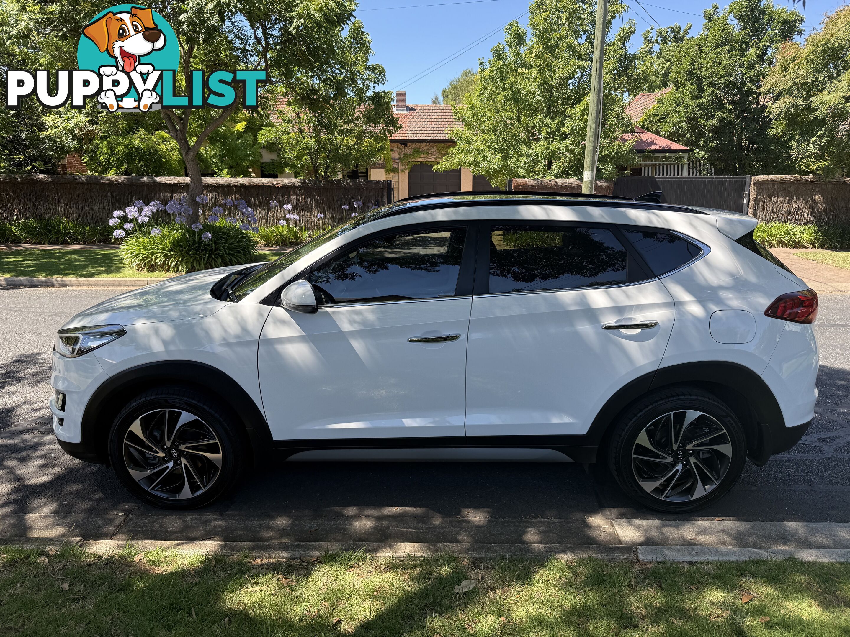 2019 Hyundai Tucson TL3 MY19 HIGHLANDER CRDi (AWD) Wagon Automatic