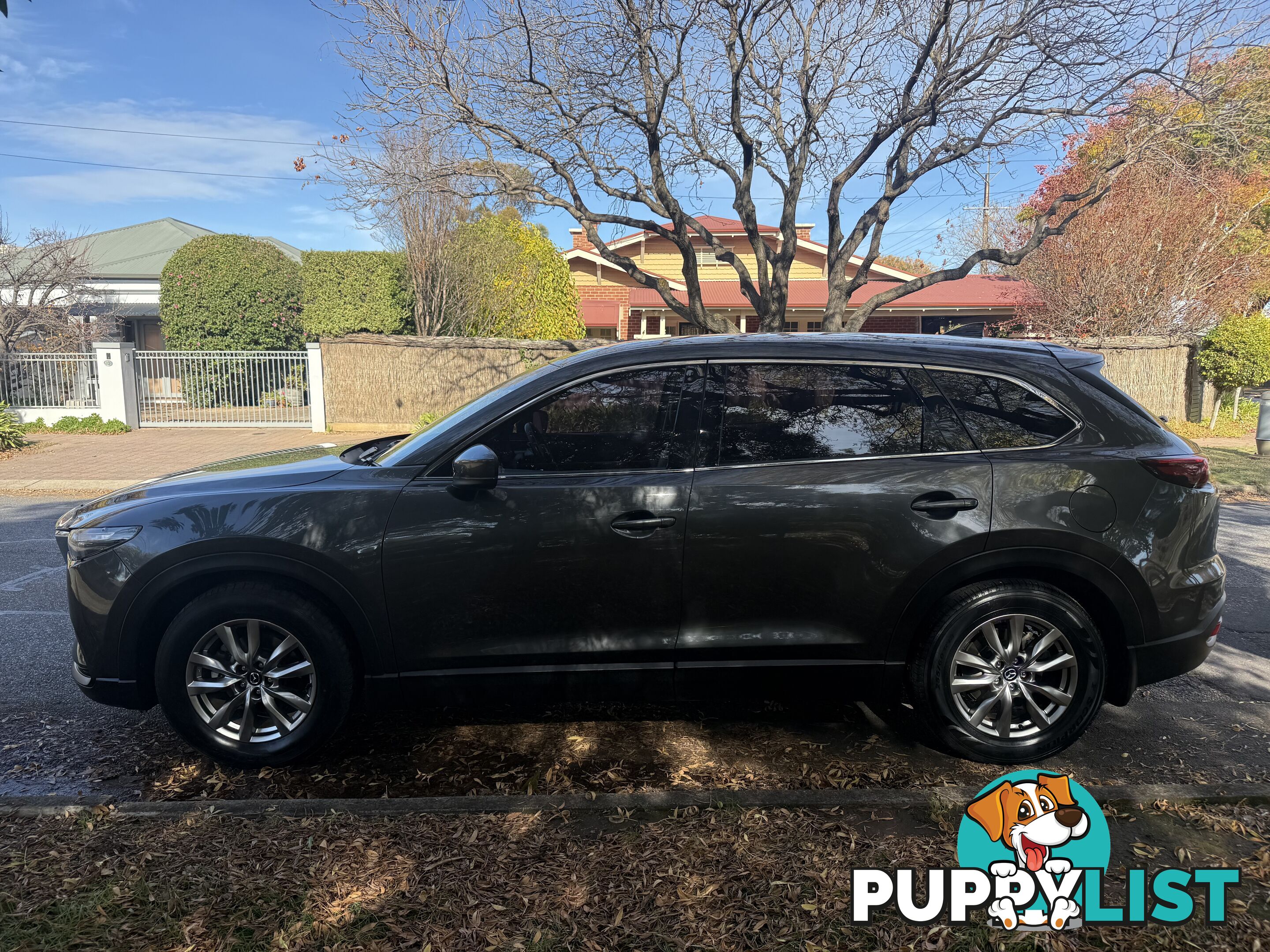 2017 Mazda CX-9 MY16 TOURING (FWD) PETROL Wagon Automatic
