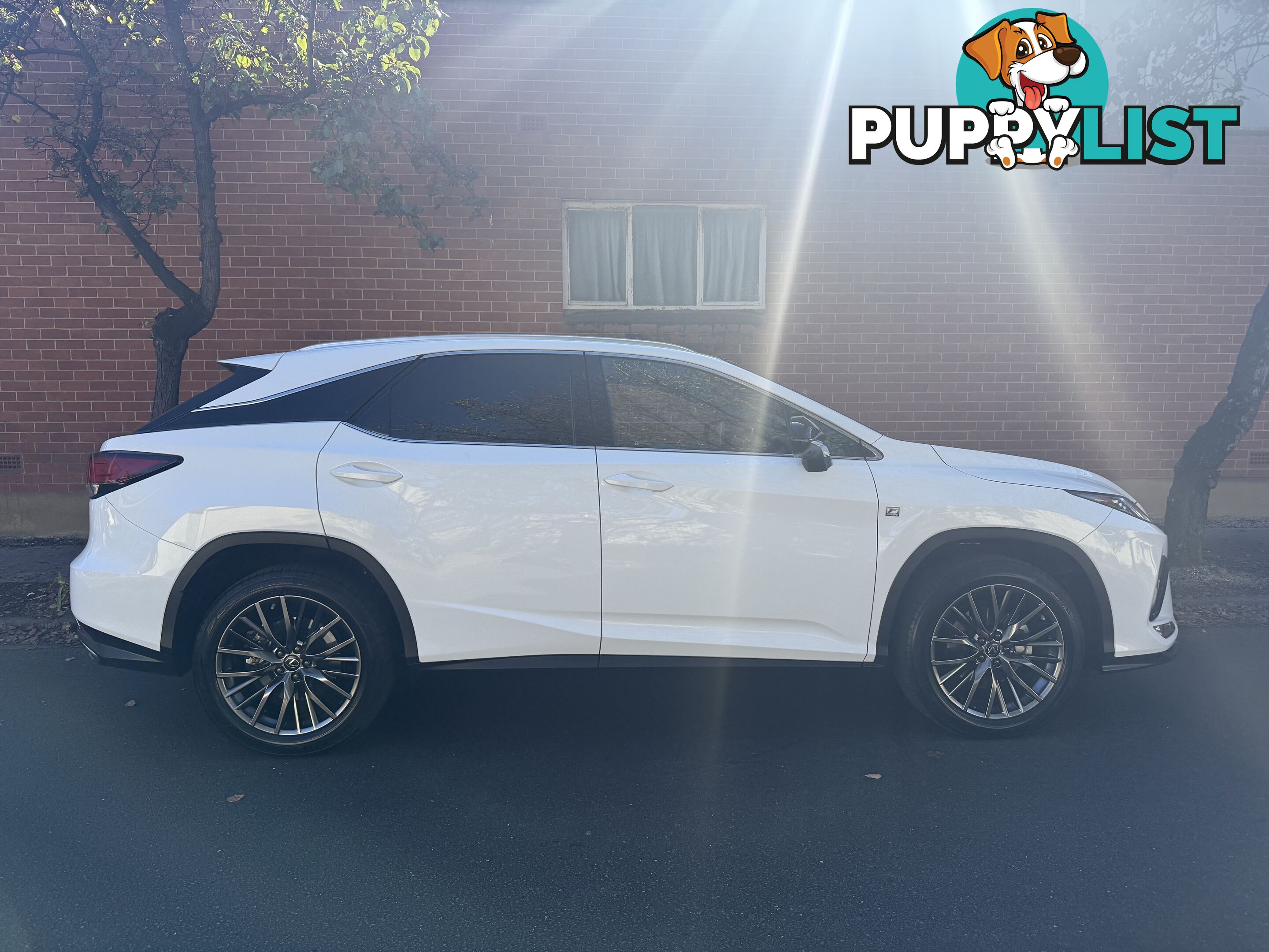 2021 Lexus RX 350 GGL25R F SPORT Wagon Automatic