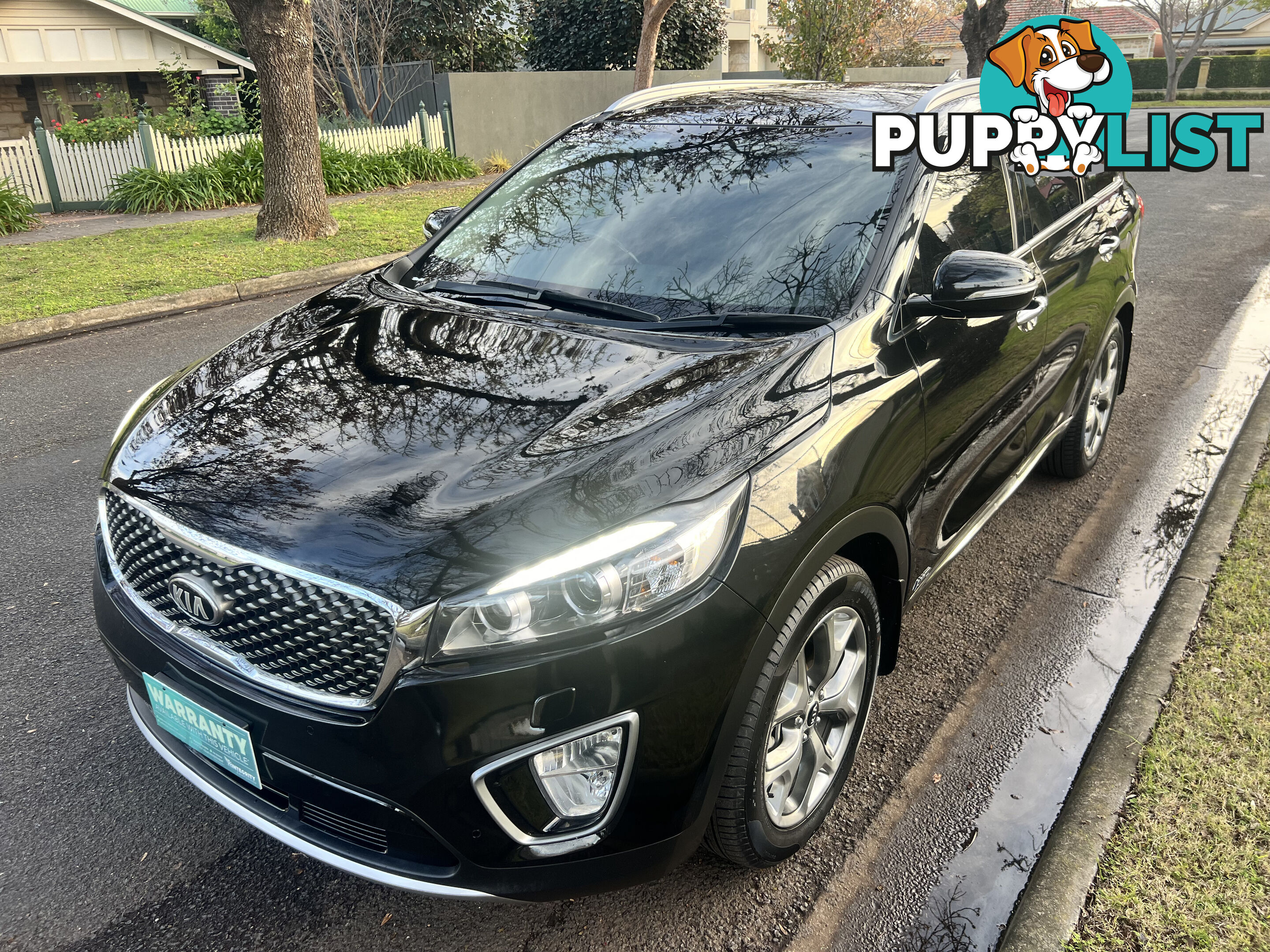 2016 Kia Sorento UM MY17 PLATINUM (4x4) Wagon Automatic