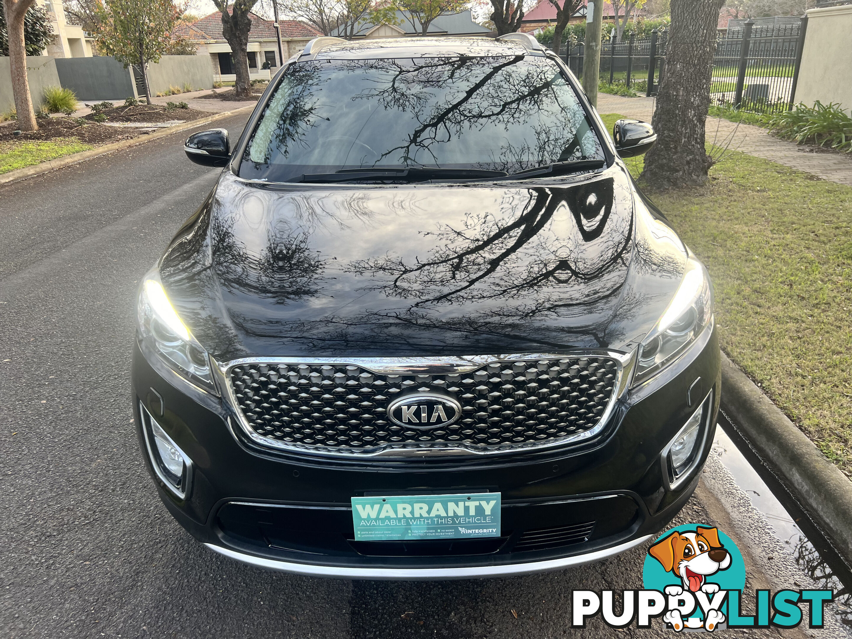 2016 Kia Sorento UM MY17 PLATINUM (4x4) Wagon Automatic