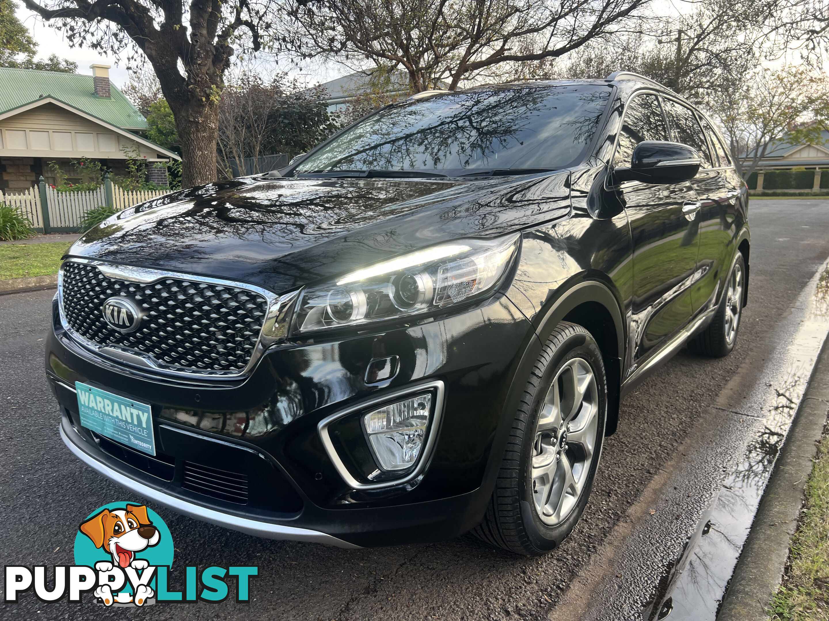 2016 Kia Sorento UM MY17 PLATINUM (4x4) Wagon Automatic