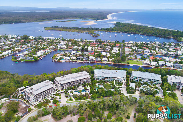 5/8 Serenity Close Noosa Heads QLD 4567