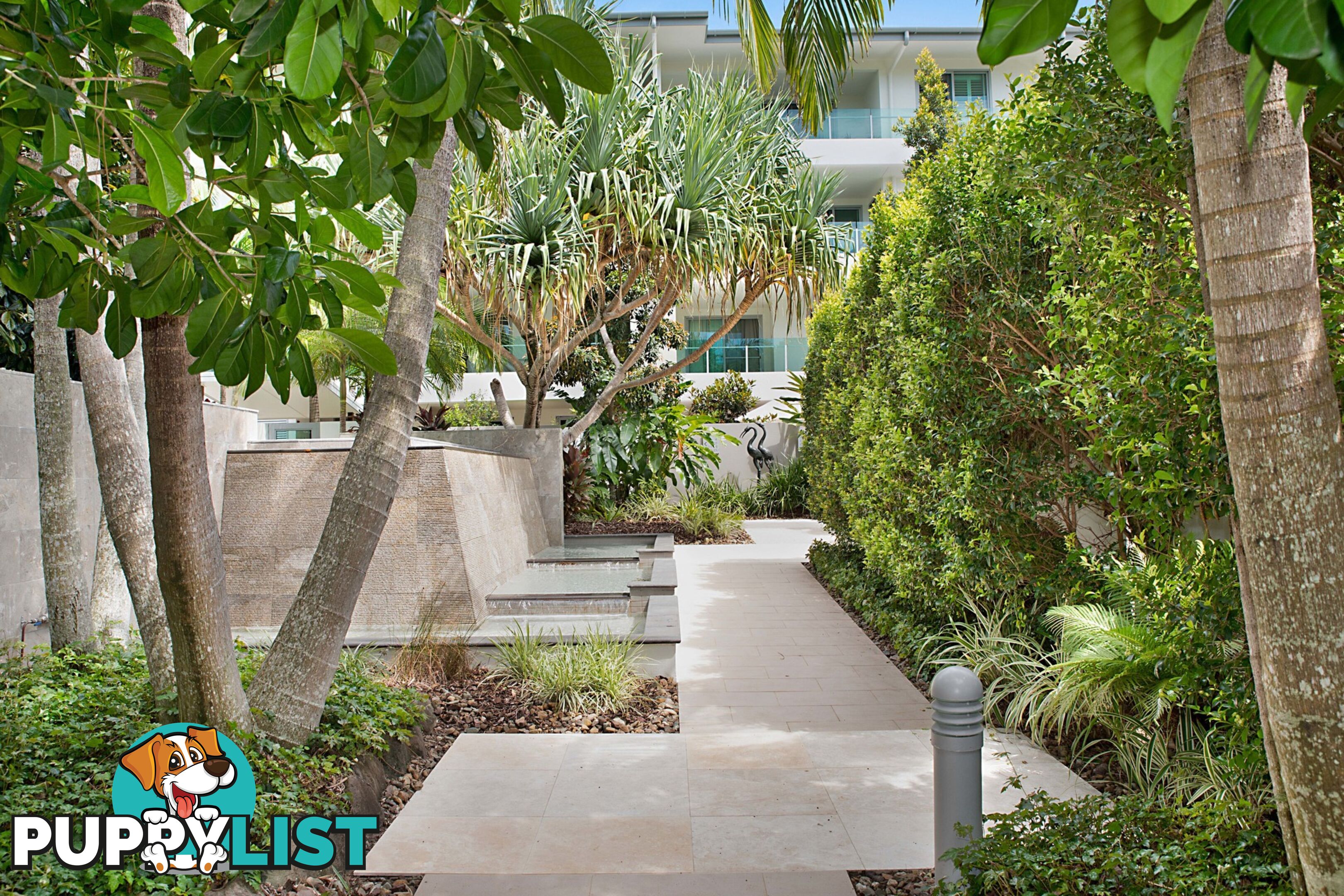 5/8 Serenity Close Noosa Heads QLD 4567